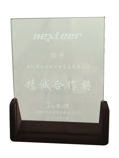 耐世特授予：精诚合作奖.jpg