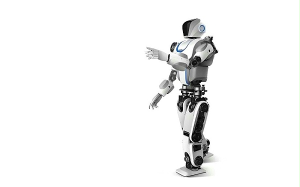 人形机器人-网图