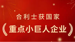 从小巨人到重点小巨人：合利士凭什么再获国家认可？