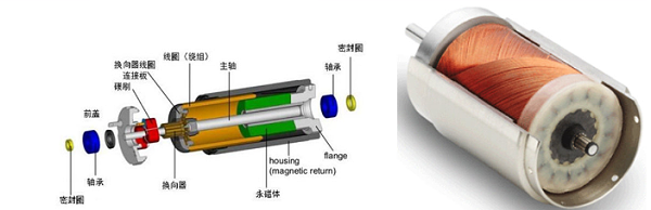 空心杯电机绕组图